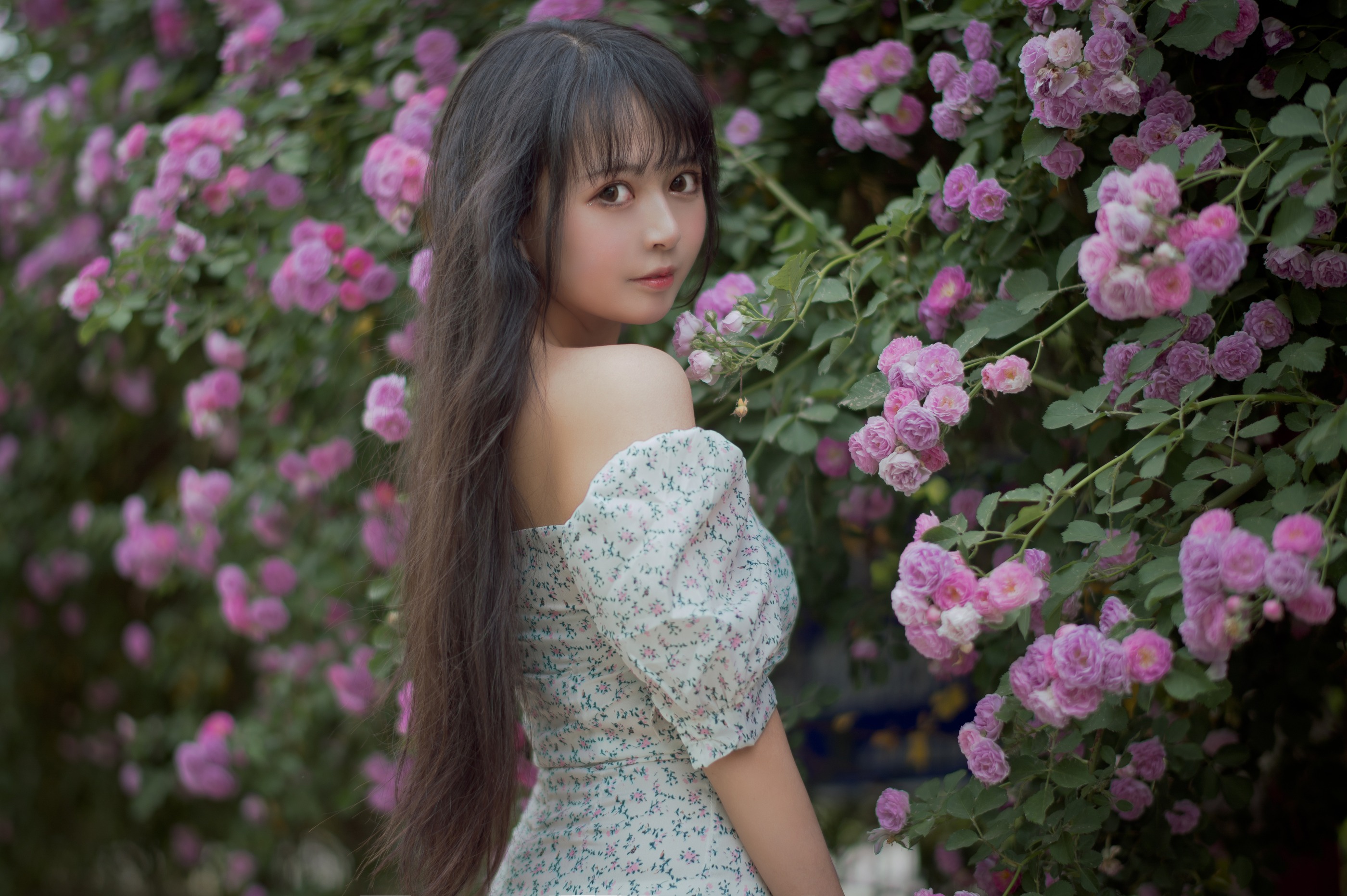 图片[1]-黑猫猫 – NO.022 蔷薇2 [27P]-XikXak